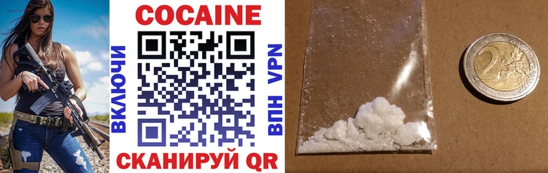 COCAIN Fish Scale  Купить закладки  Белово 