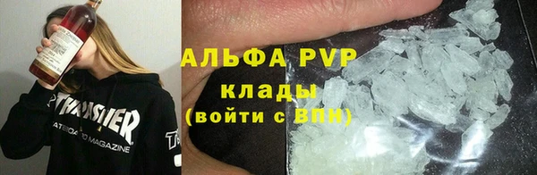 стаф Дмитриев