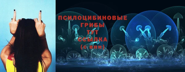 мдма Гусиноозёрск