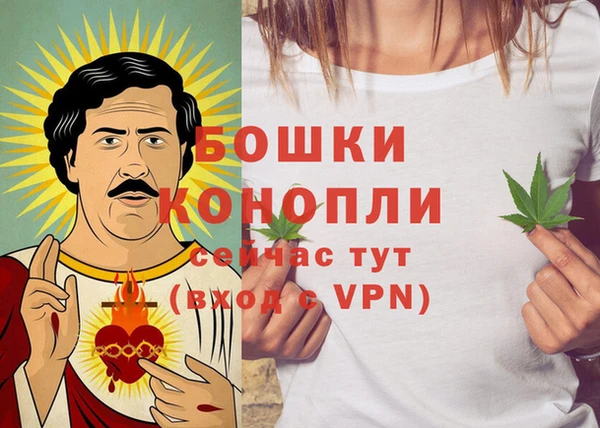 гидра Дмитров