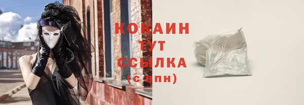 гидра Дмитров